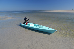 Solo Skiff