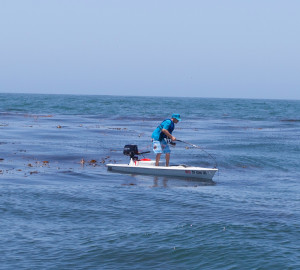 Standing up in a fishing kayak in california kelp beds