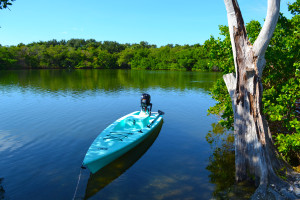 Fishing kayak in the bay