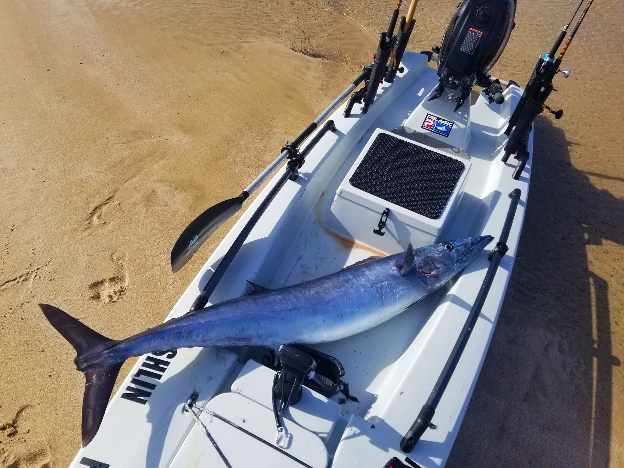 Solo Skiff with custom rigging and large fish